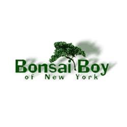 Bonsai Boy